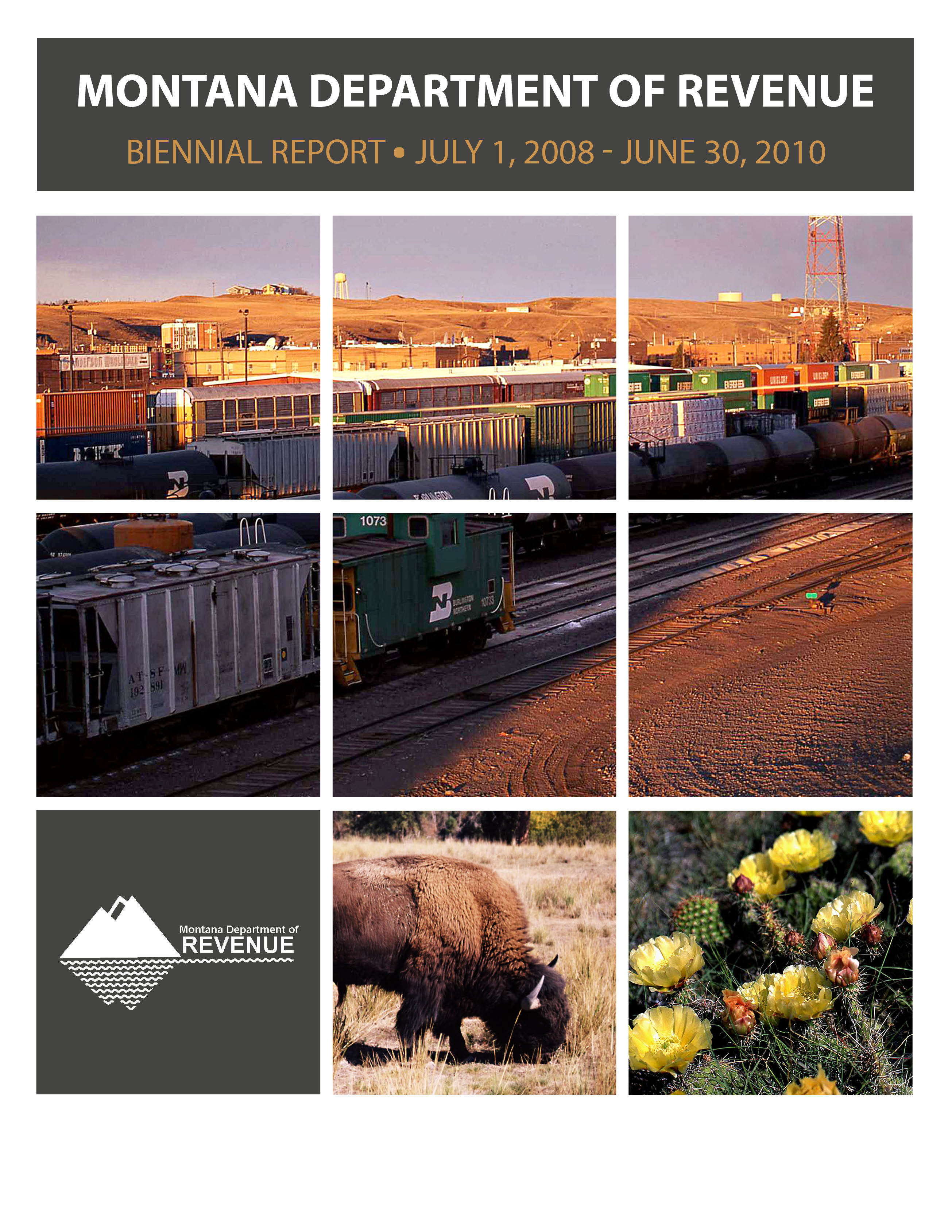 2010 Biennial Report Cover