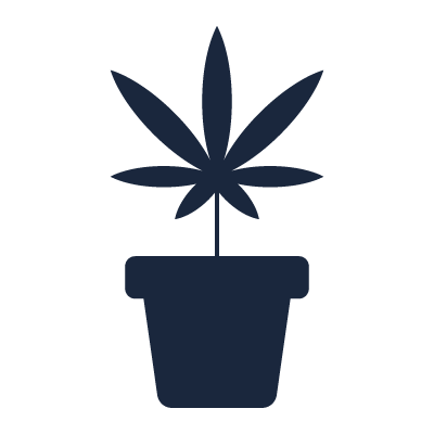 Icon of a cannabis leaf growing out of a pot.